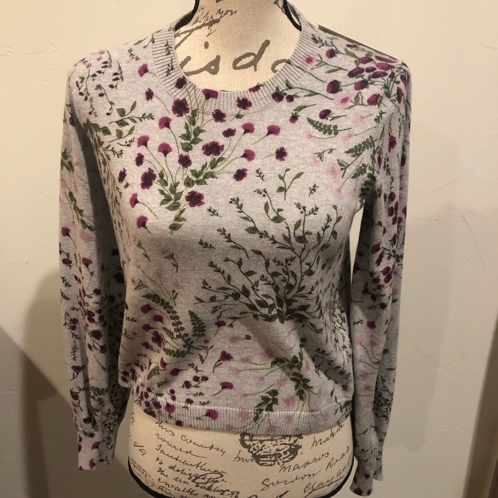 Joie sweater